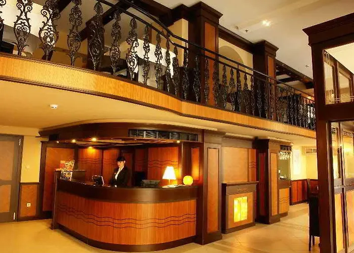 Otel Baron 4*